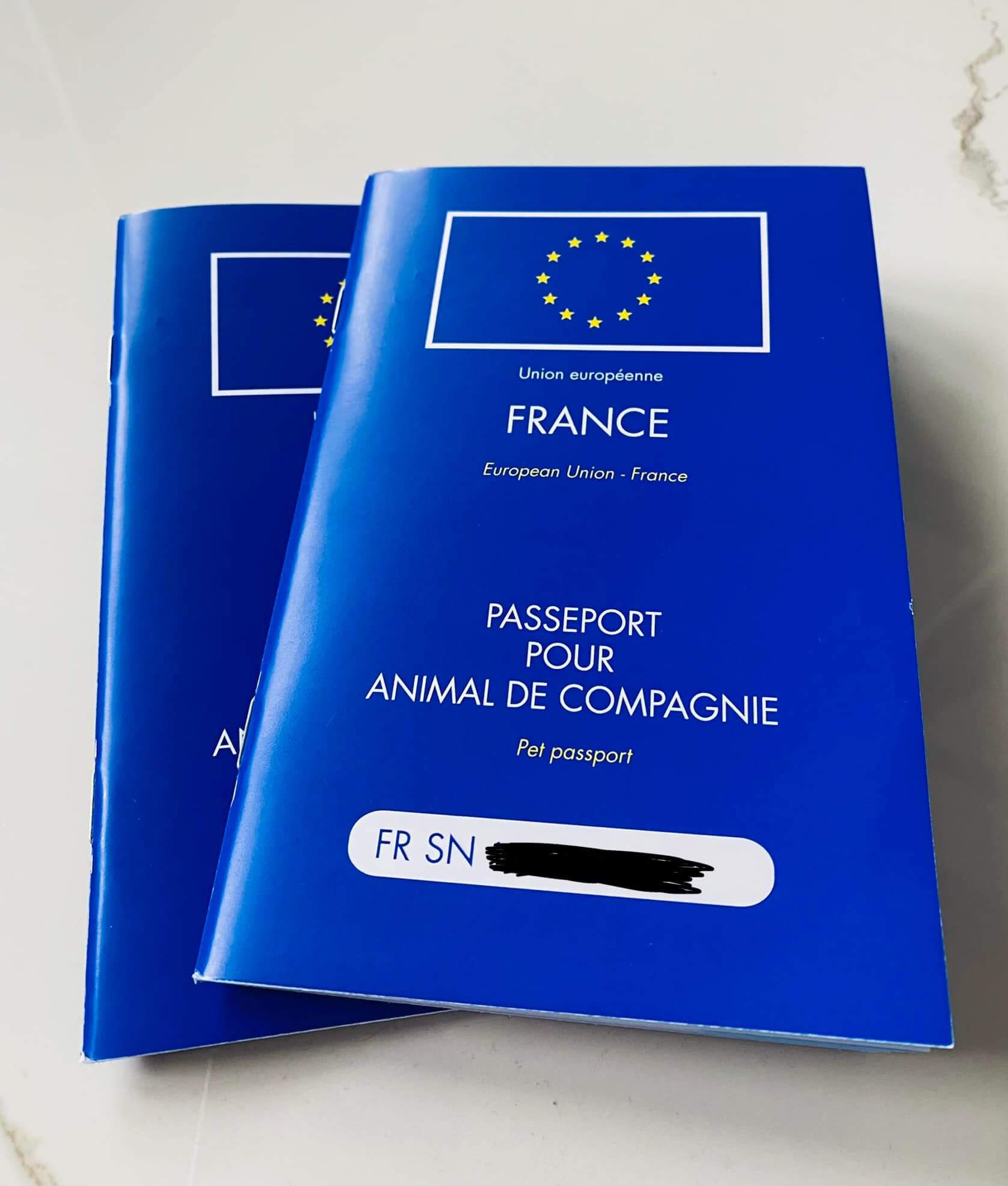 歐盟護照